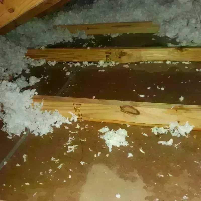 Attic Water Damage in Dundee, MI