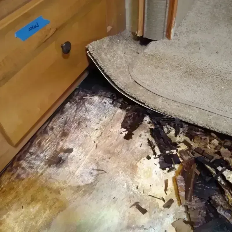 Wood Floor Water Damage in Dundee, MI